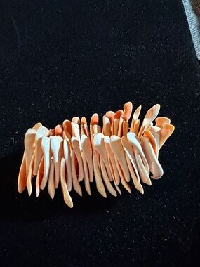 Peach Shell Statement Stretch Bracelet